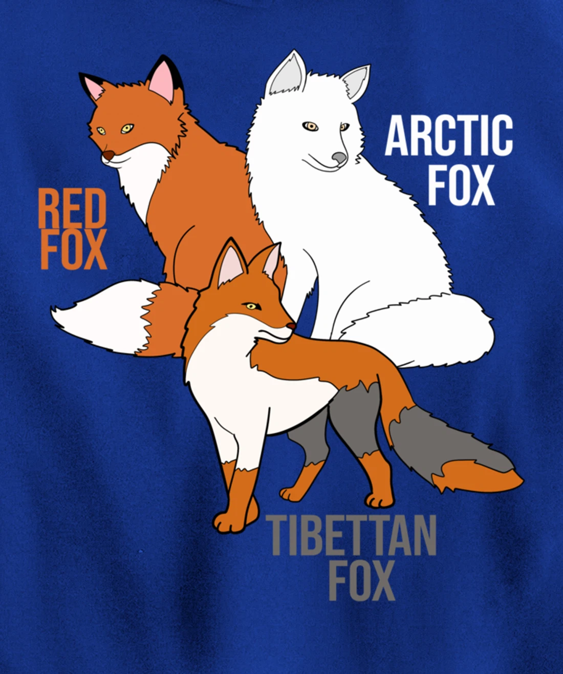 Foxes Of The World Funny Fox Animals Educational Pullover Hoodie