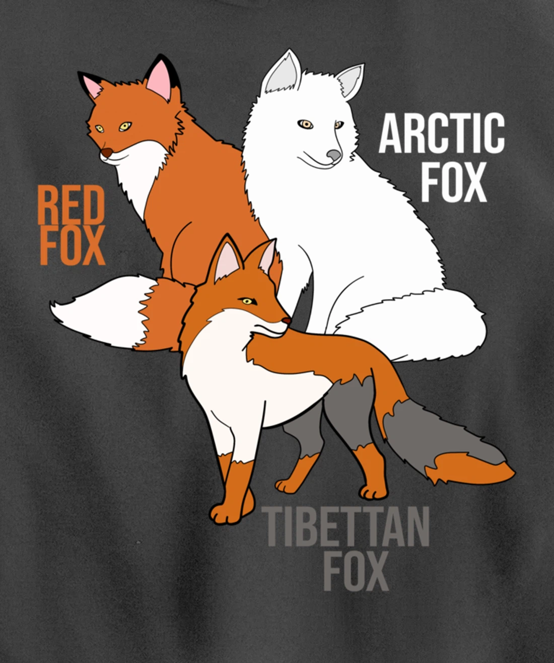 Foxes Of The World Funny Fox Animals Educational Pullover Hoodie
