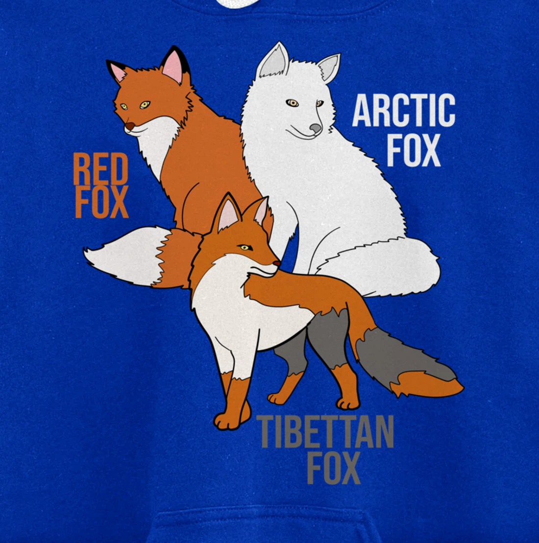 Foxes Of The World Funny Fox Animals Educational Pullover Hoodie