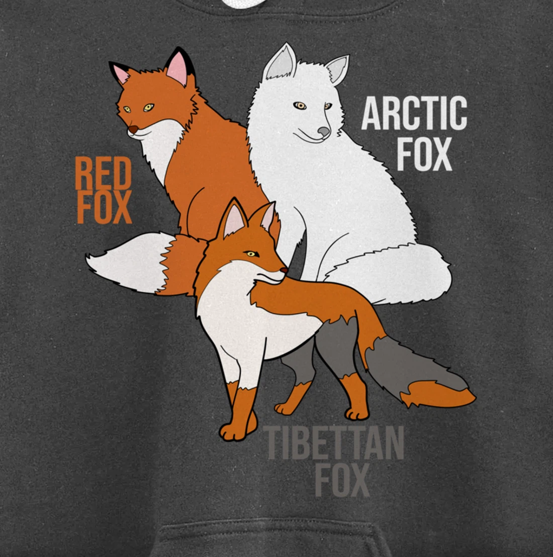 Foxes Of The World Funny Fox Animals Educational Pullover Hoodie