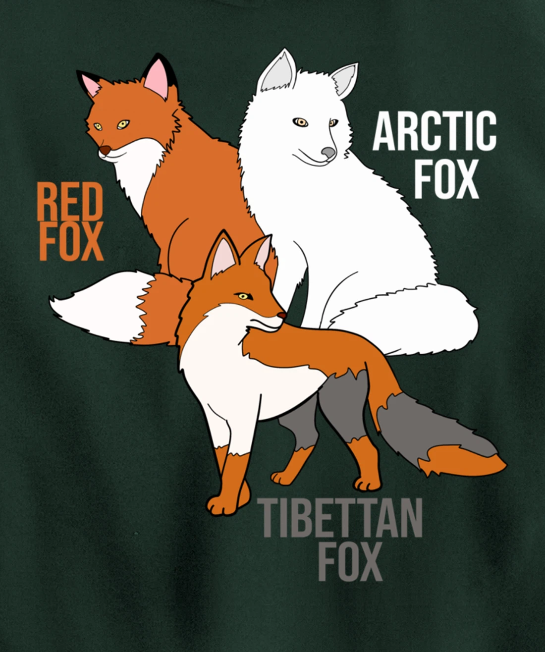Foxes Of The World Funny Fox Animals Educational Pullover Hoodie