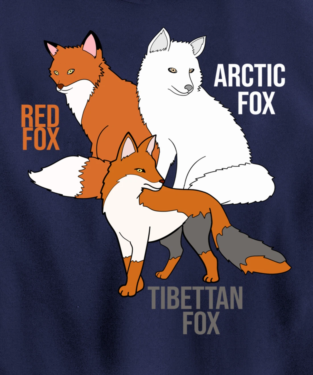 Foxes Of The World Funny Fox Animals Educational Pullover Hoodie