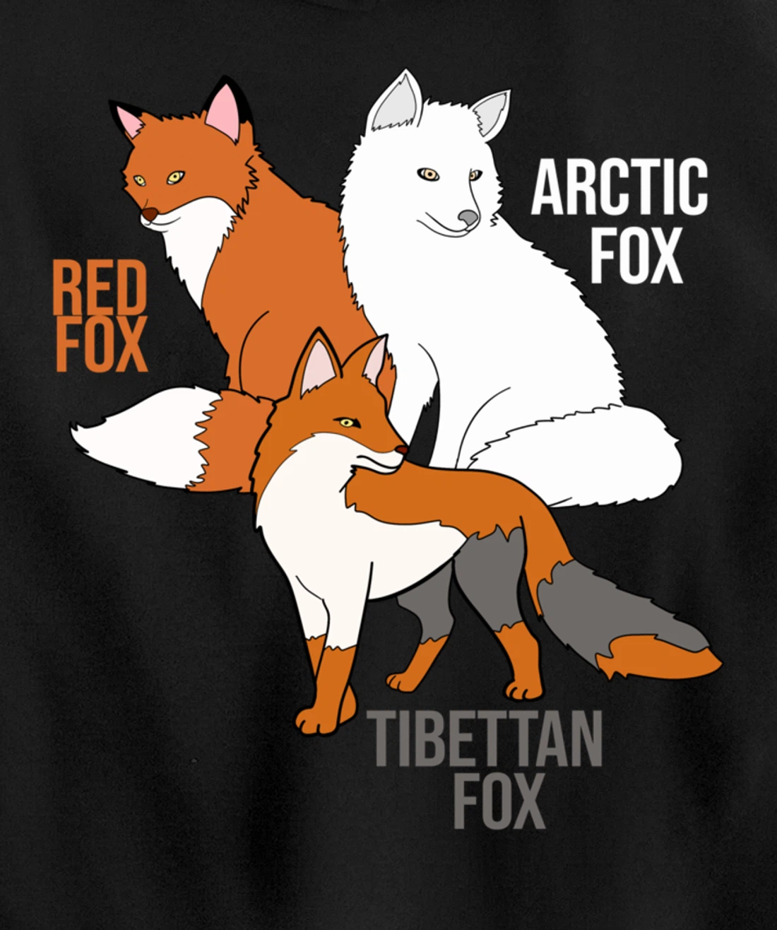 Foxes Of The World Funny Fox Animals Educational Pullover Hoodie