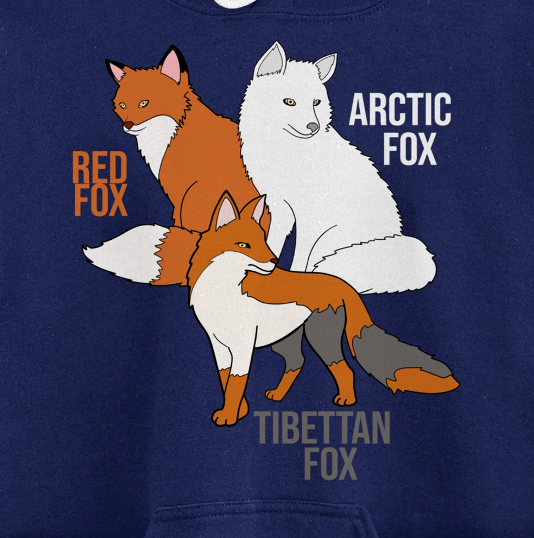 Foxes Of The World Funny Fox Animals Educational Pullover Hoodie