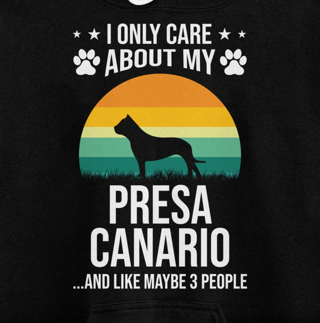 I Only Care About My Presa Canario Dog Lover Pullover Hoodie