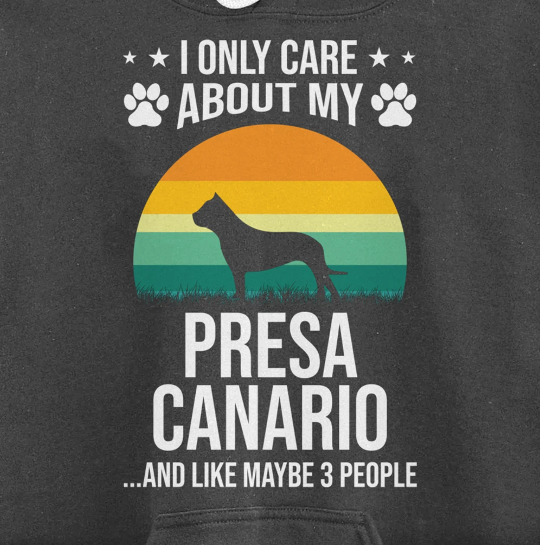 I Only Care About My Presa Canario Dog Lover Pullover Hoodie