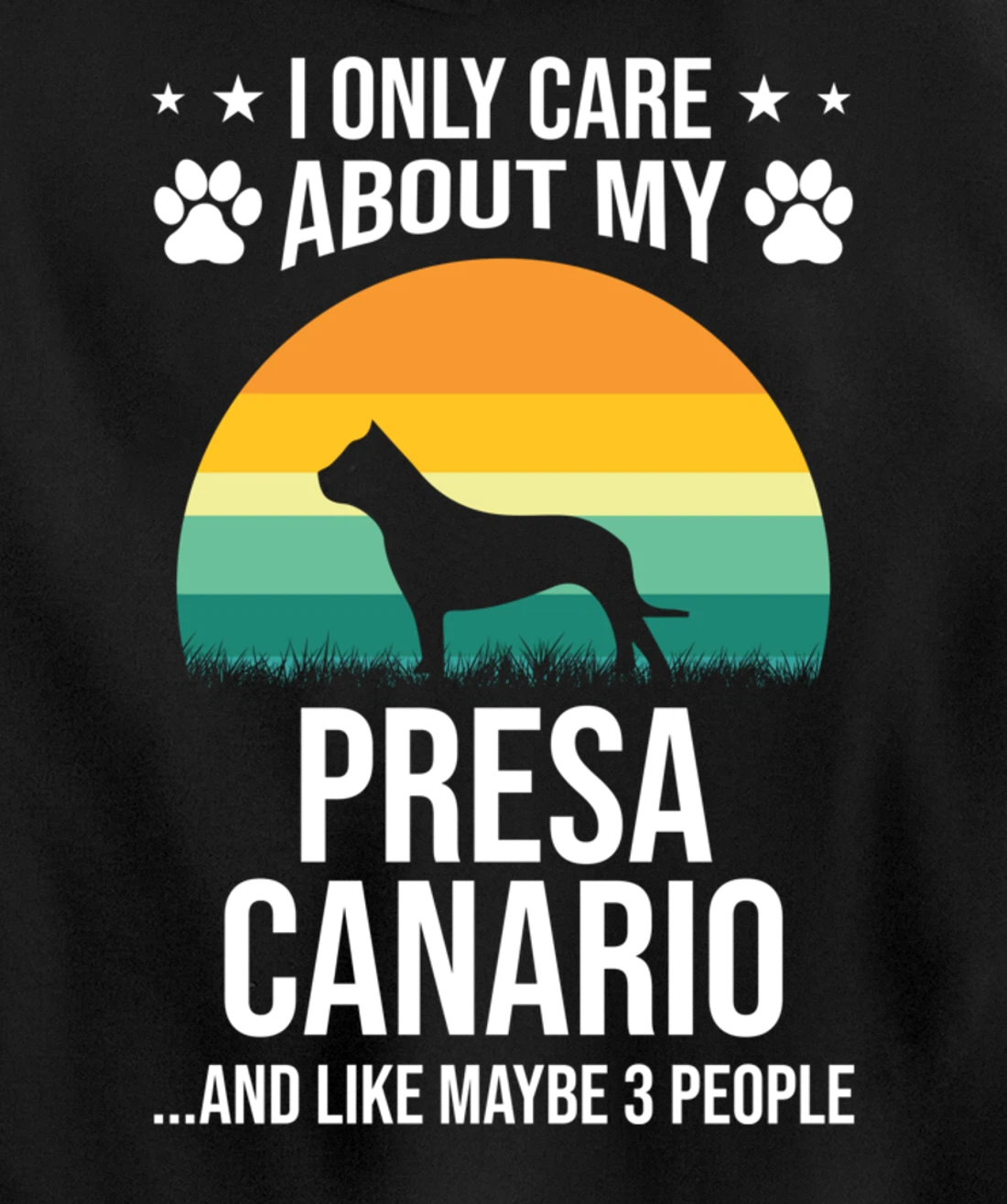 I Only Care About My Presa Canario Dog Lover Pullover Hoodie