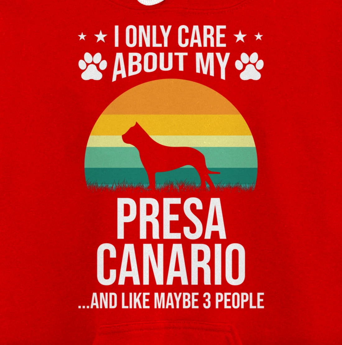 I Only Care About My Presa Canario Dog Lover Pullover Hoodie
