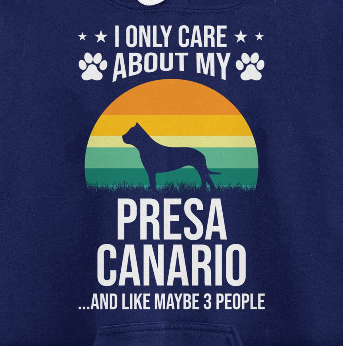 I Only Care About My Presa Canario Dog Lover Pullover Hoodie
