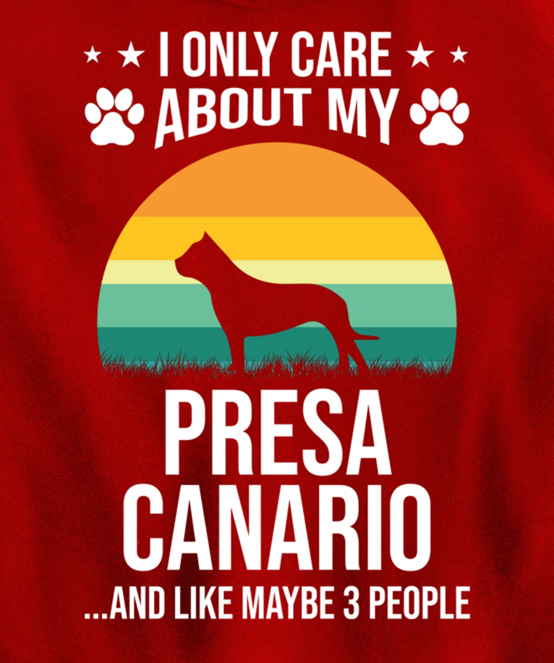 I Only Care About My Presa Canario Dog Lover Pullover Hoodie