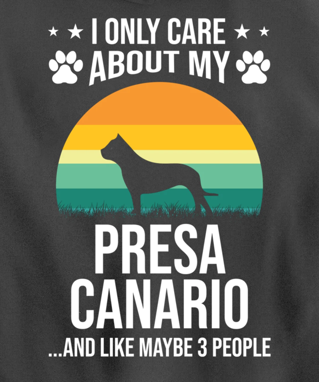 I Only Care About My Presa Canario Dog Lover Pullover Hoodie