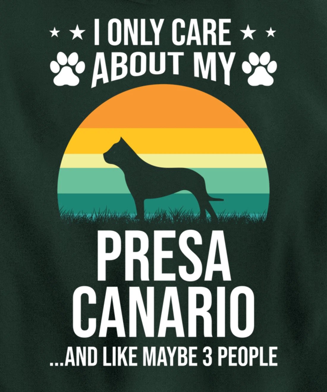 I Only Care About My Presa Canario Dog Lover Pullover Hoodie