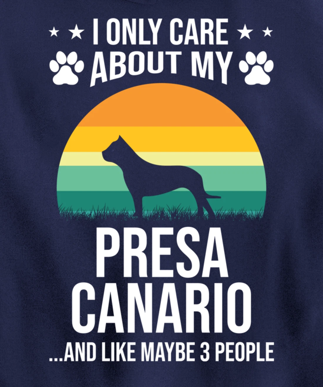I Only Care About My Presa Canario Dog Lover Pullover Hoodie