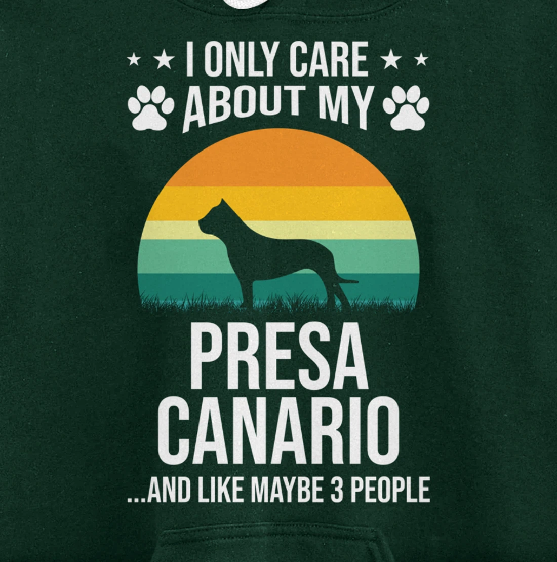 I Only Care About My Presa Canario Dog Lover Pullover Hoodie