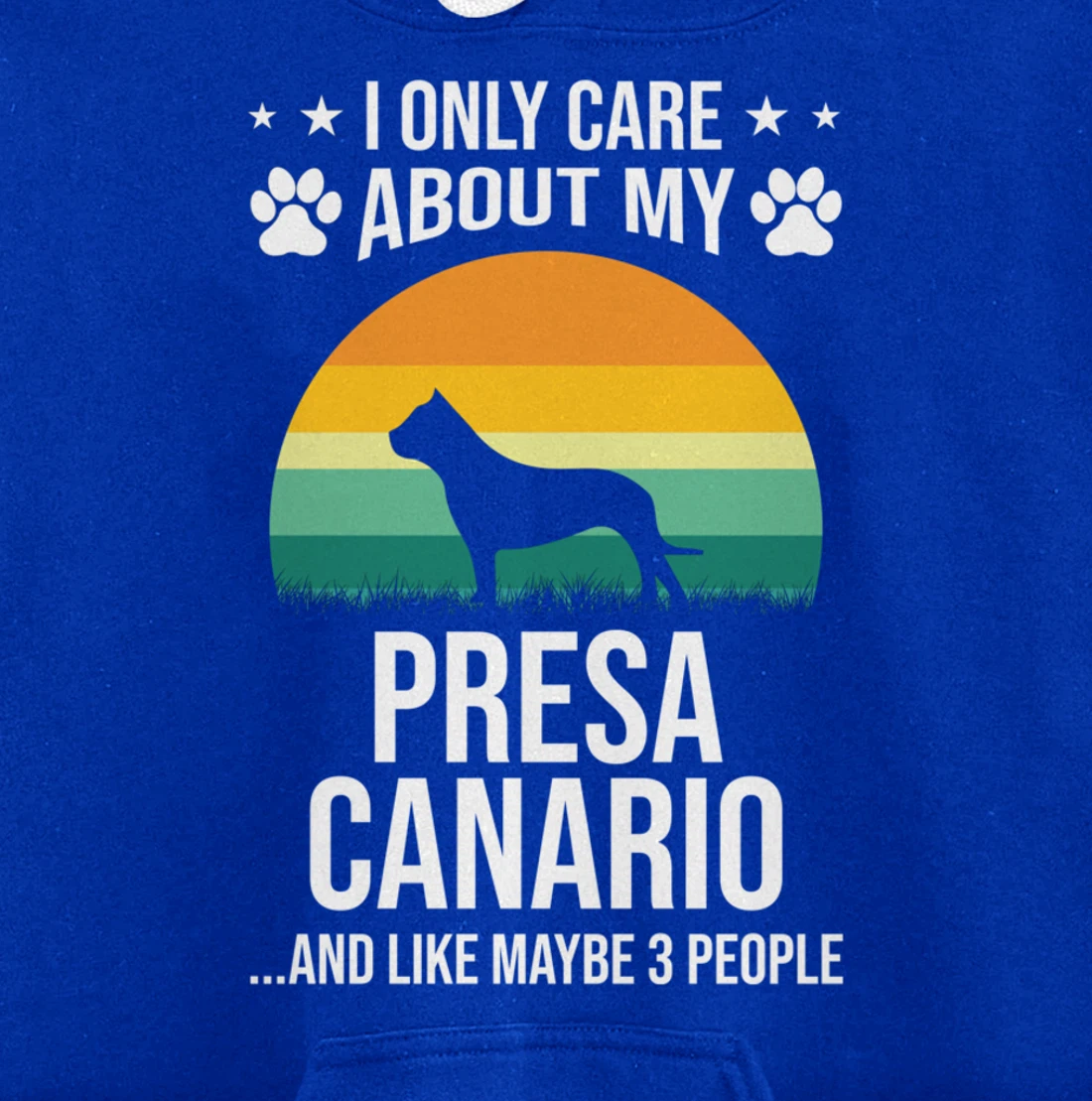 I Only Care About My Presa Canario Dog Lover Pullover Hoodie