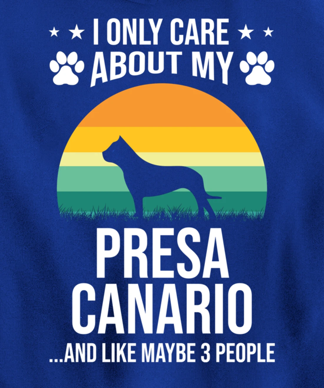 I Only Care About My Presa Canario Dog Lover Pullover Hoodie