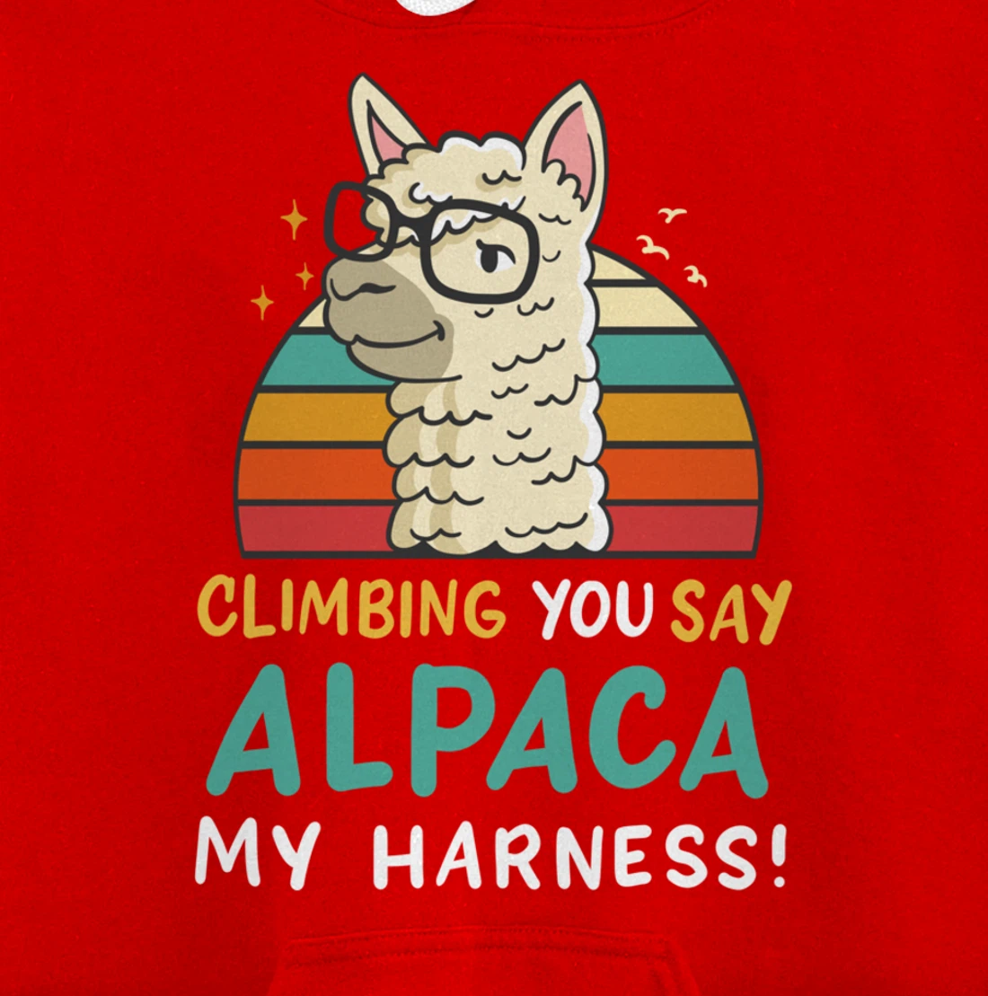 Climbing Bouldering Rock Climbing Free Climbing Funny Gift Pullover Hoodie