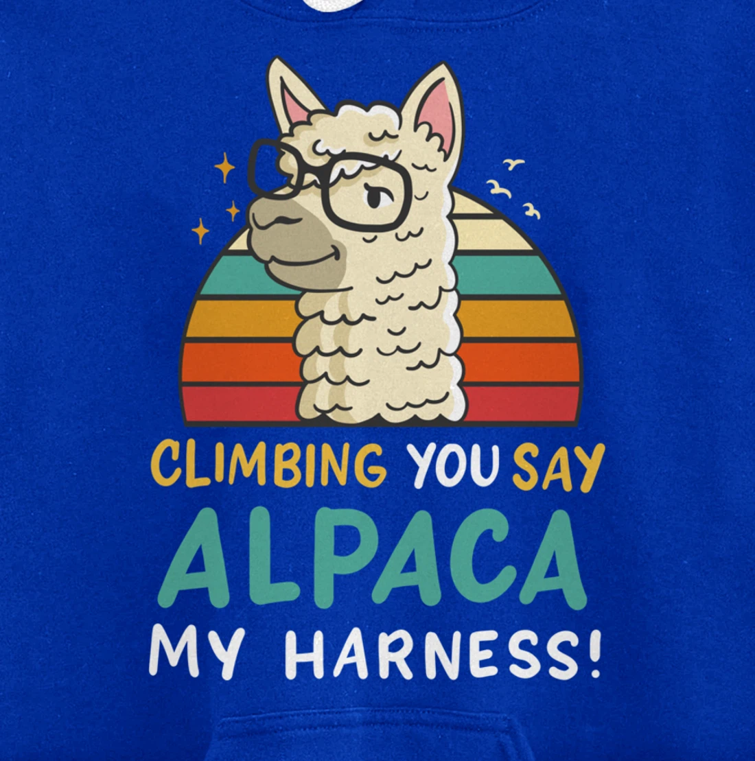 Climbing Bouldering Rock Climbing Free Climbing Funny Gift Pullover Hoodie