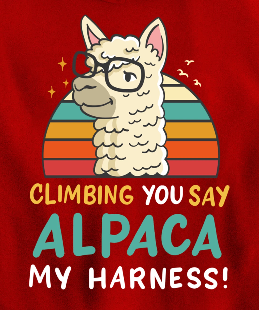 Climbing Bouldering Rock Climbing Free Climbing Funny Gift Pullover Hoodie