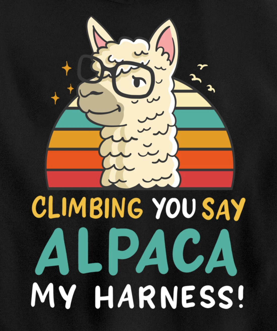 Climbing Bouldering Rock Climbing Free Climbing Funny Gift Pullover Hoodie