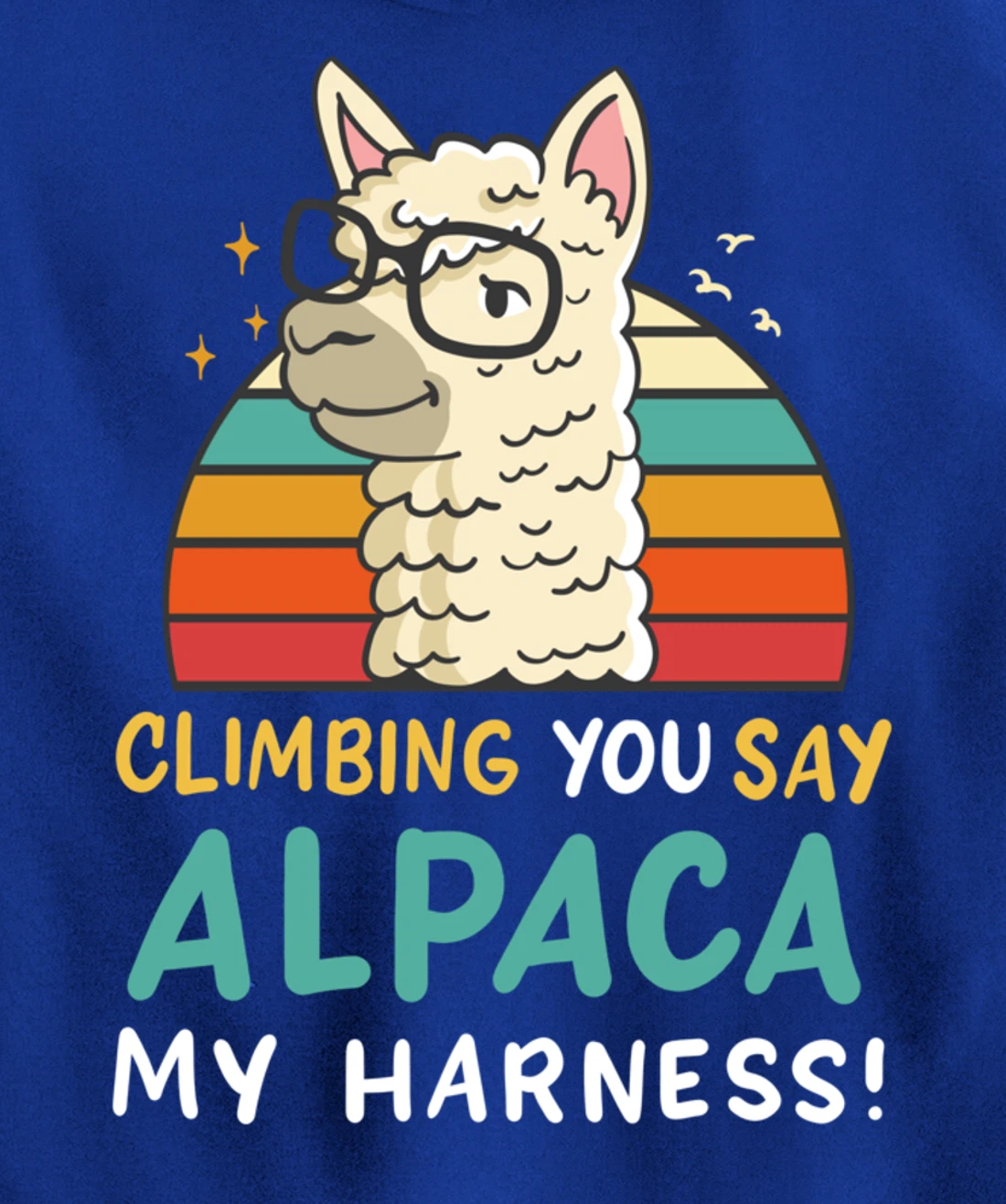 Climbing Bouldering Rock Climbing Free Climbing Funny Gift Pullover Hoodie