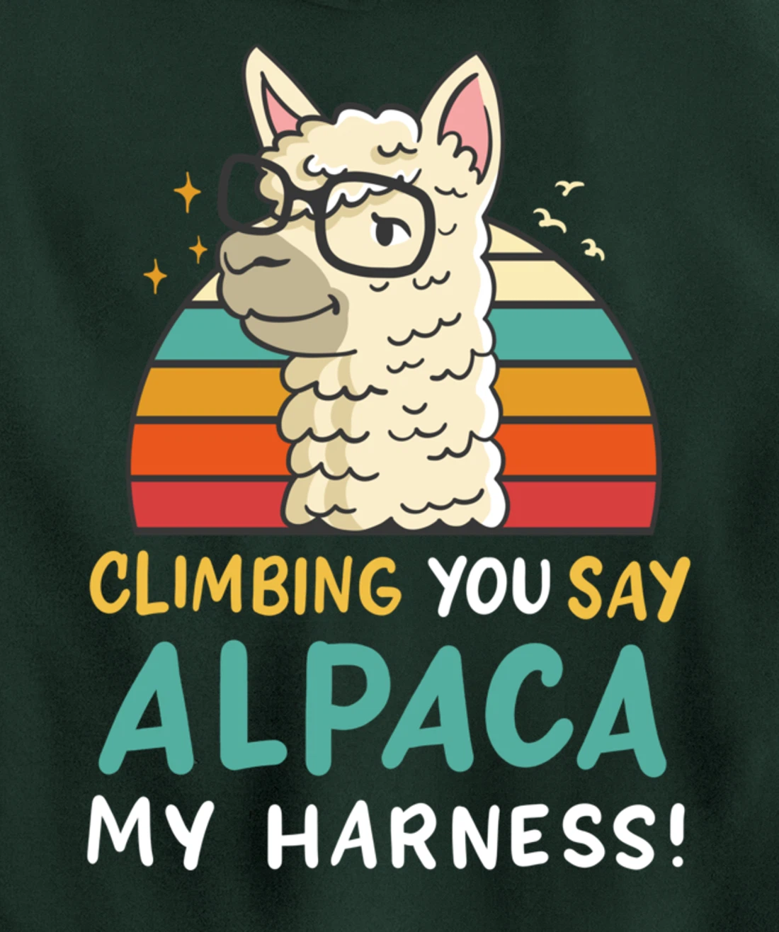 Climbing Bouldering Rock Climbing Free Climbing Funny Gift Pullover Hoodie