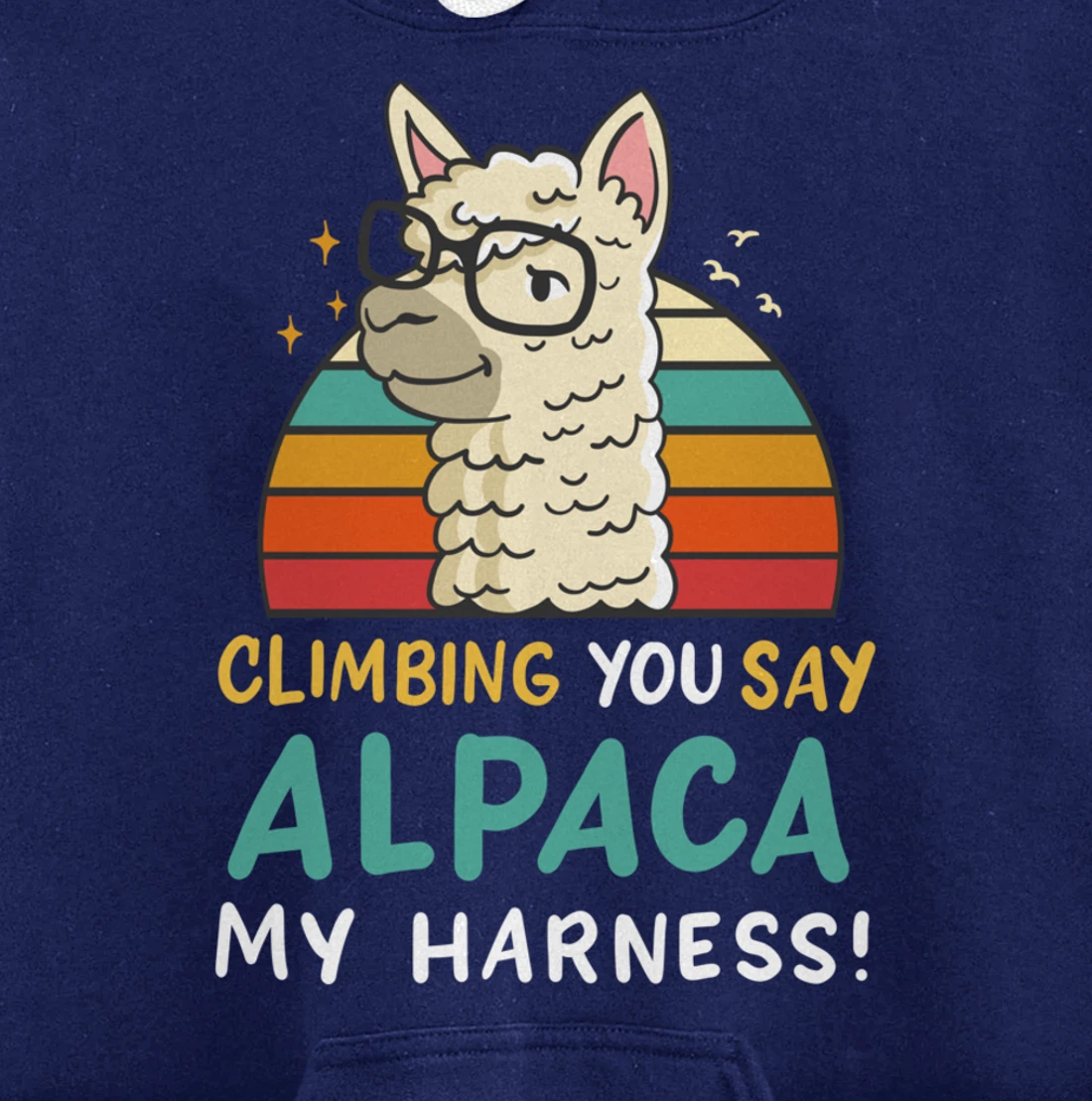 Climbing Bouldering Rock Climbing Free Climbing Funny Gift Pullover Hoodie