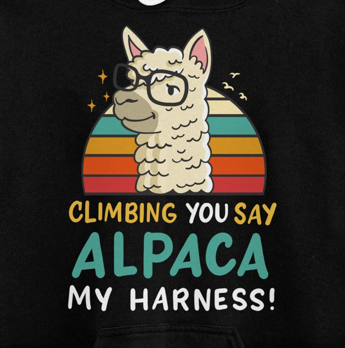 Climbing Bouldering Rock Climbing Free Climbing Funny Gift Pullover Hoodie