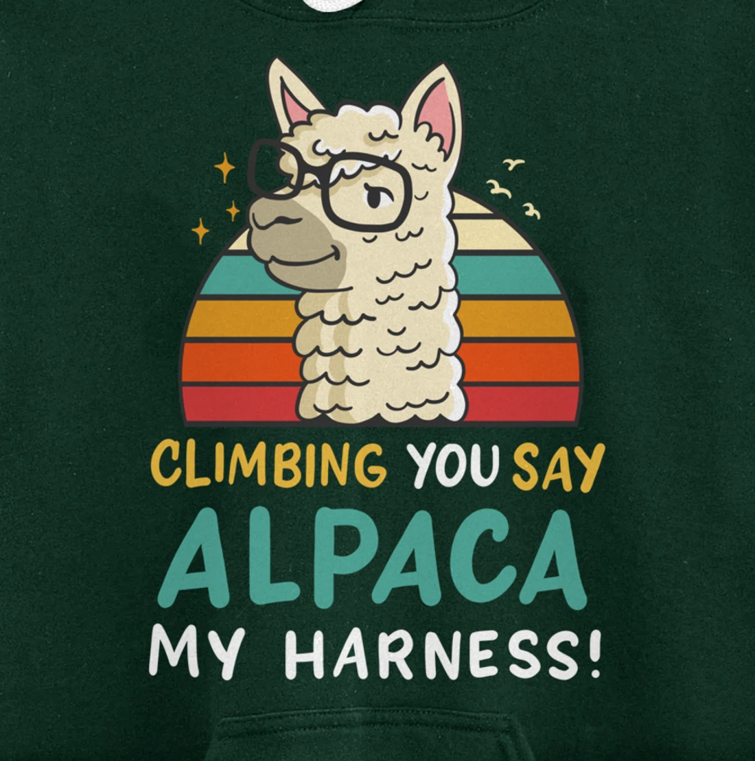 Climbing Bouldering Rock Climbing Free Climbing Funny Gift Pullover Hoodie