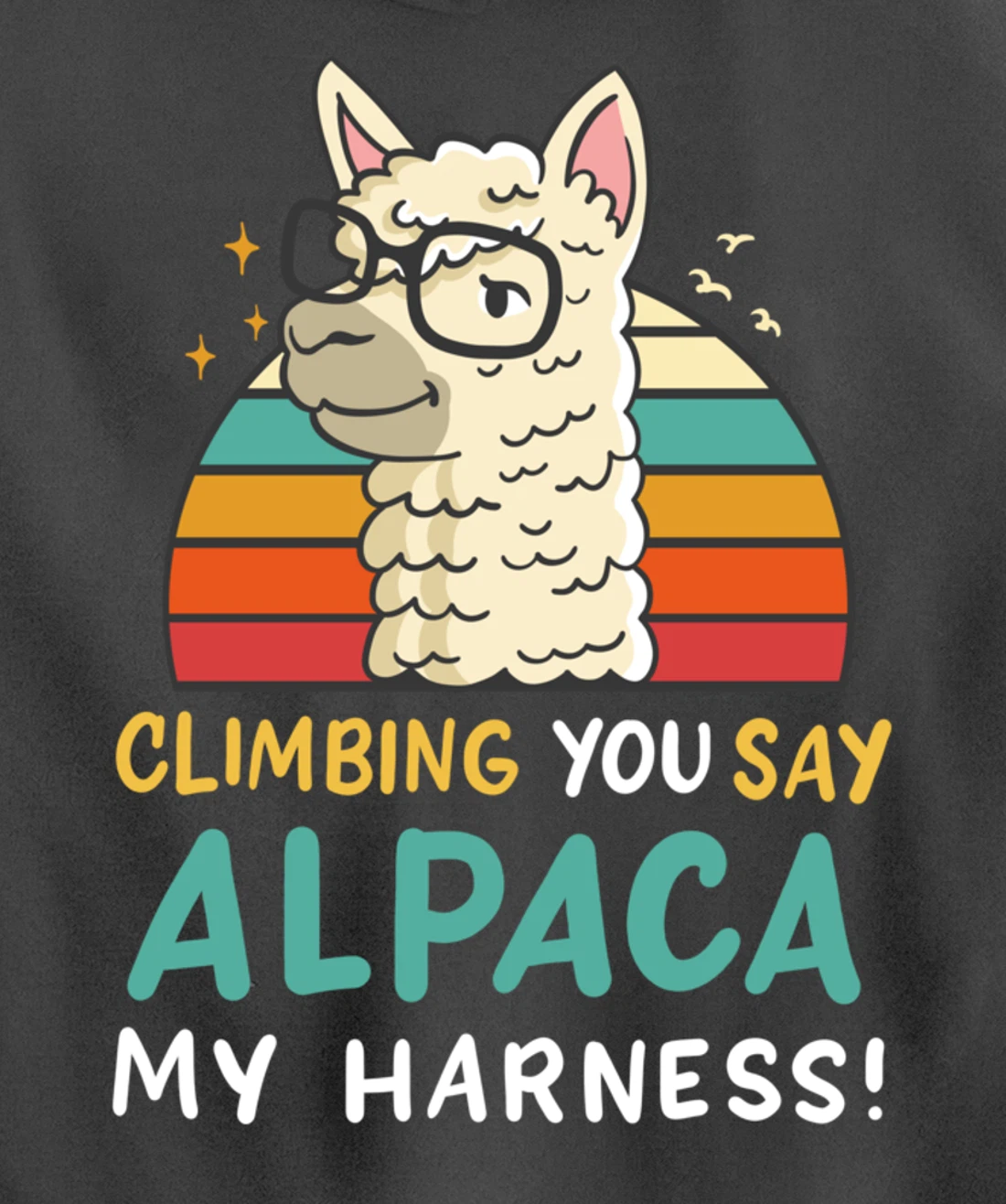 Climbing Bouldering Rock Climbing Free Climbing Funny Gift Pullover Hoodie