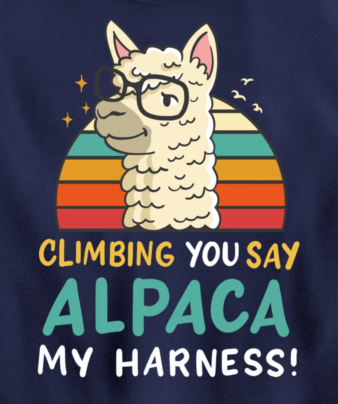 Climbing Bouldering Rock Climbing Free Climbing Funny Gift Pullover Hoodie