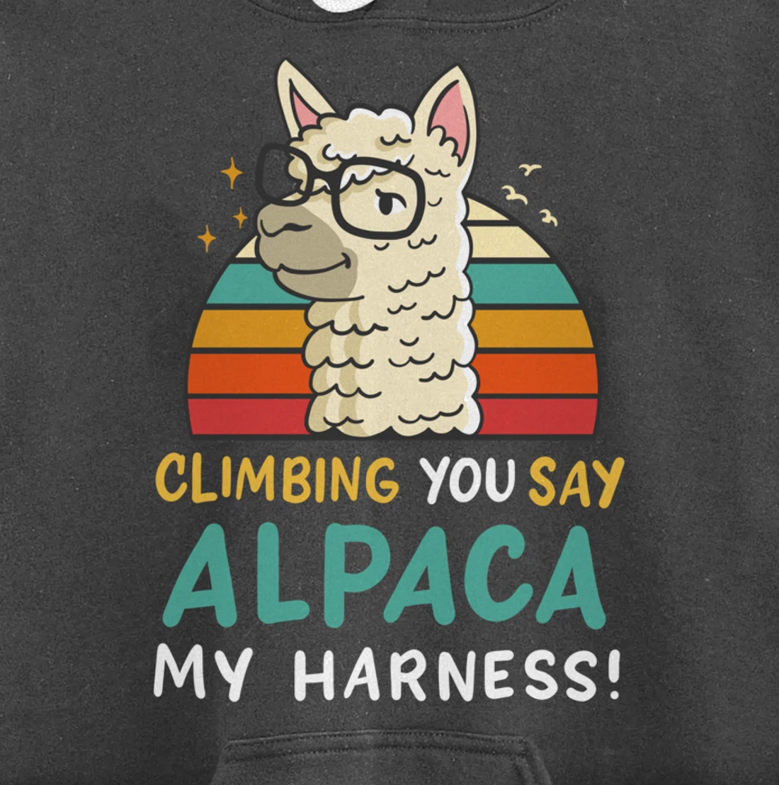 Climbing Bouldering Rock Climbing Free Climbing Funny Gift Pullover Hoodie