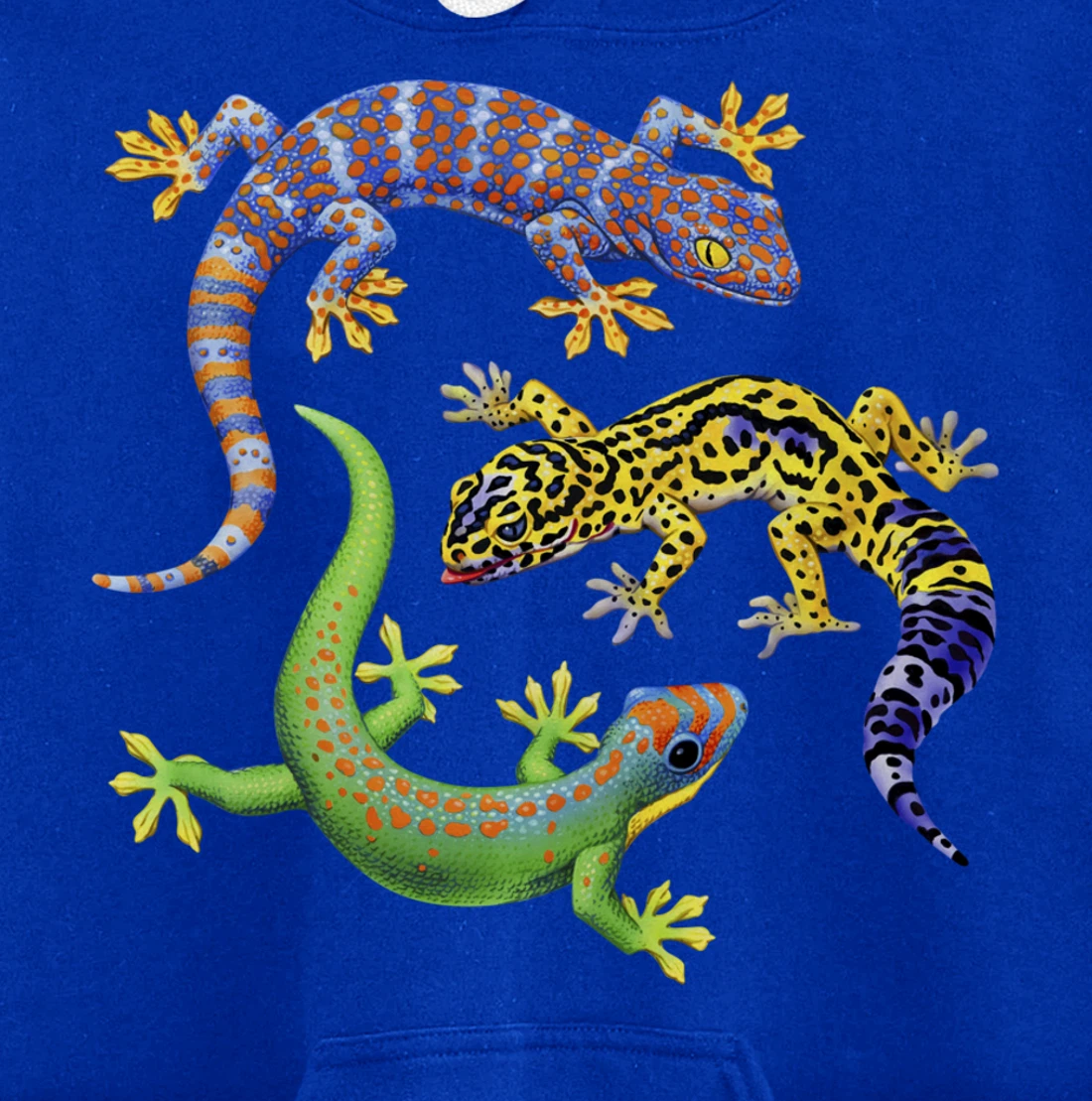 Reptile Lover Gecko Lizards Exotic Pet Gifts Pullover Hoodie