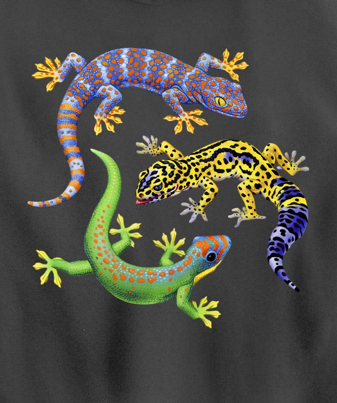Reptile Lover Gecko Lizards Exotic Pet Gifts Pullover Hoodie