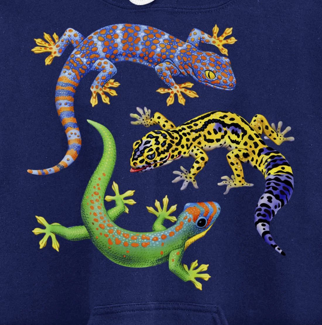 Reptile Lover Gecko Lizards Exotic Pet Gifts Pullover Hoodie