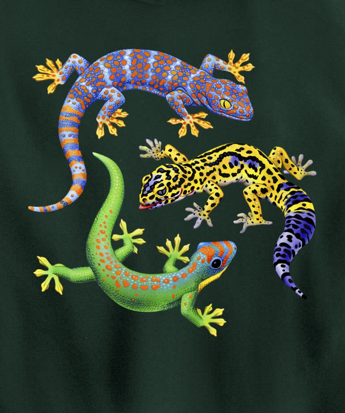 Reptile Lover Gecko Lizards Exotic Pet Gifts Pullover Hoodie