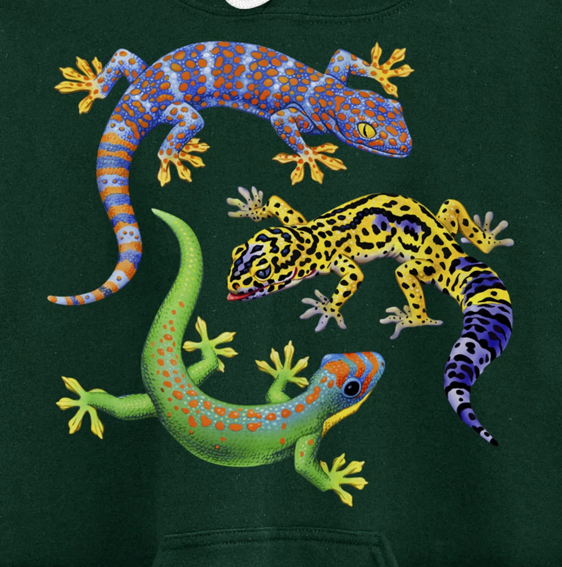 Reptile Lover Gecko Lizards Exotic Pet Gifts Pullover Hoodie