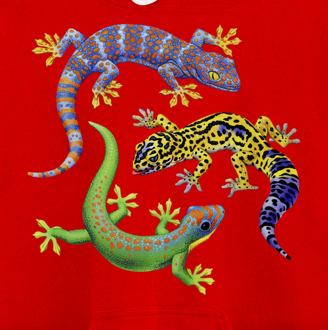 Reptile Lover Gecko Lizards Exotic Pet Gifts Pullover Hoodie