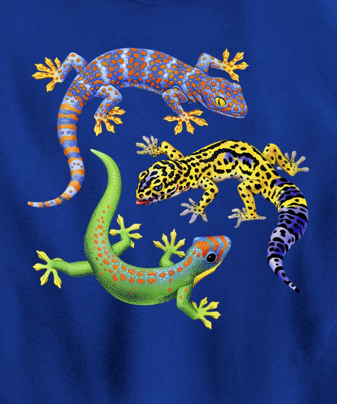 Reptile Lover Gecko Lizards Exotic Pet Gifts Pullover Hoodie