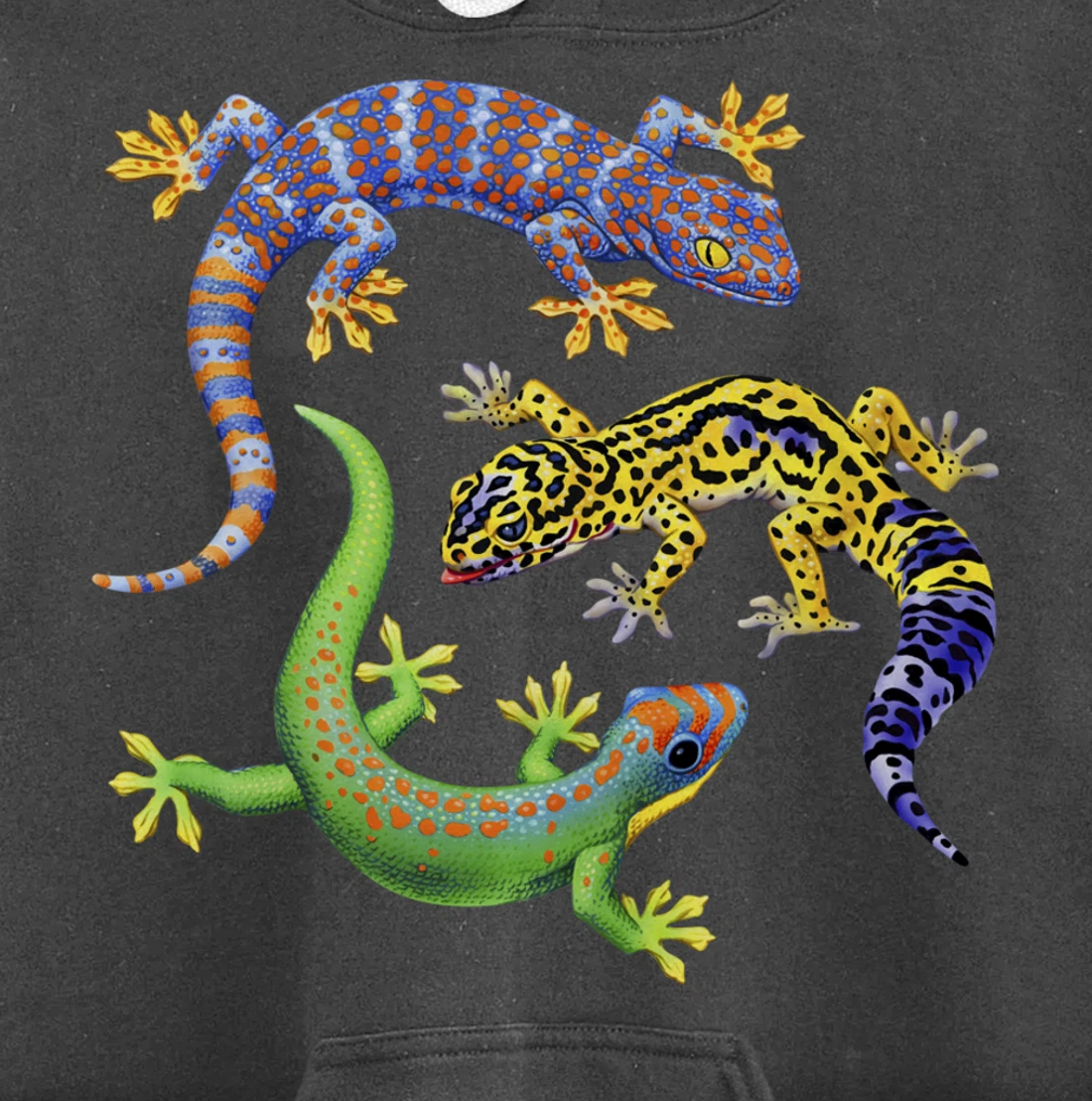 Reptile Lover Gecko Lizards Exotic Pet Gifts Pullover Hoodie