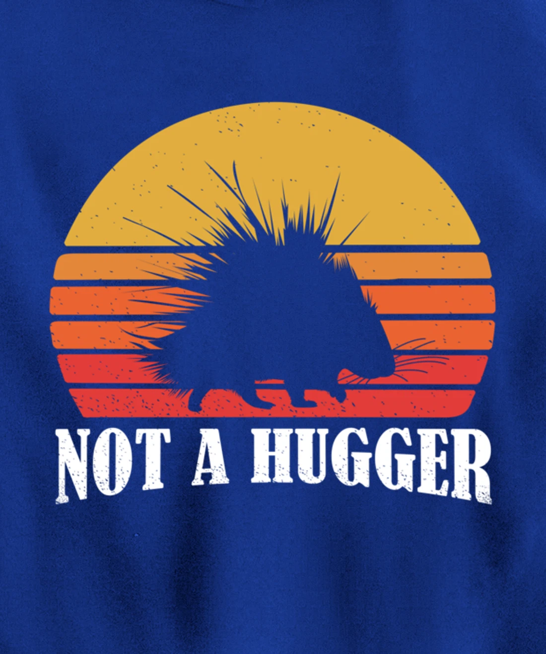 Porcupine Pullover Hoodie