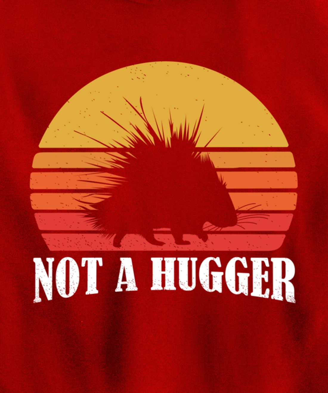 Porcupine Pullover Hoodie