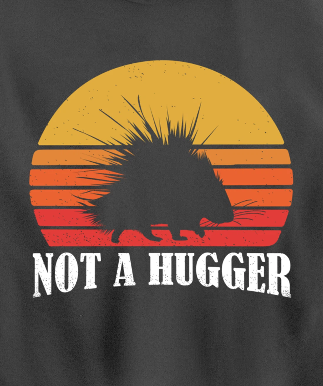 Porcupine Pullover Hoodie