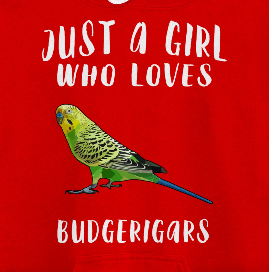 Just A Girl Who Loves Budgerigar Bird Lover Gift Pullover Hoodie