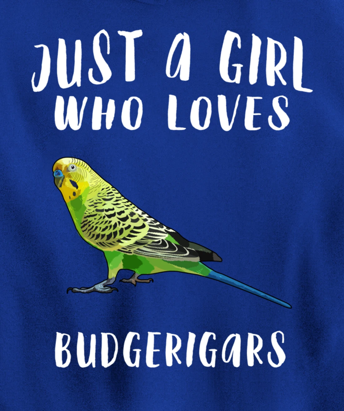 Just A Girl Who Loves Budgerigar Bird Lover Gift Pullover Hoodie
