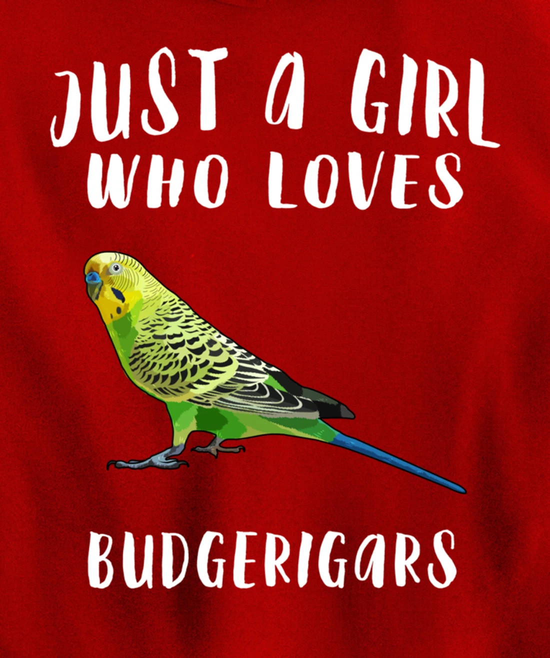 Just A Girl Who Loves Budgerigar Bird Lover Gift Pullover Hoodie