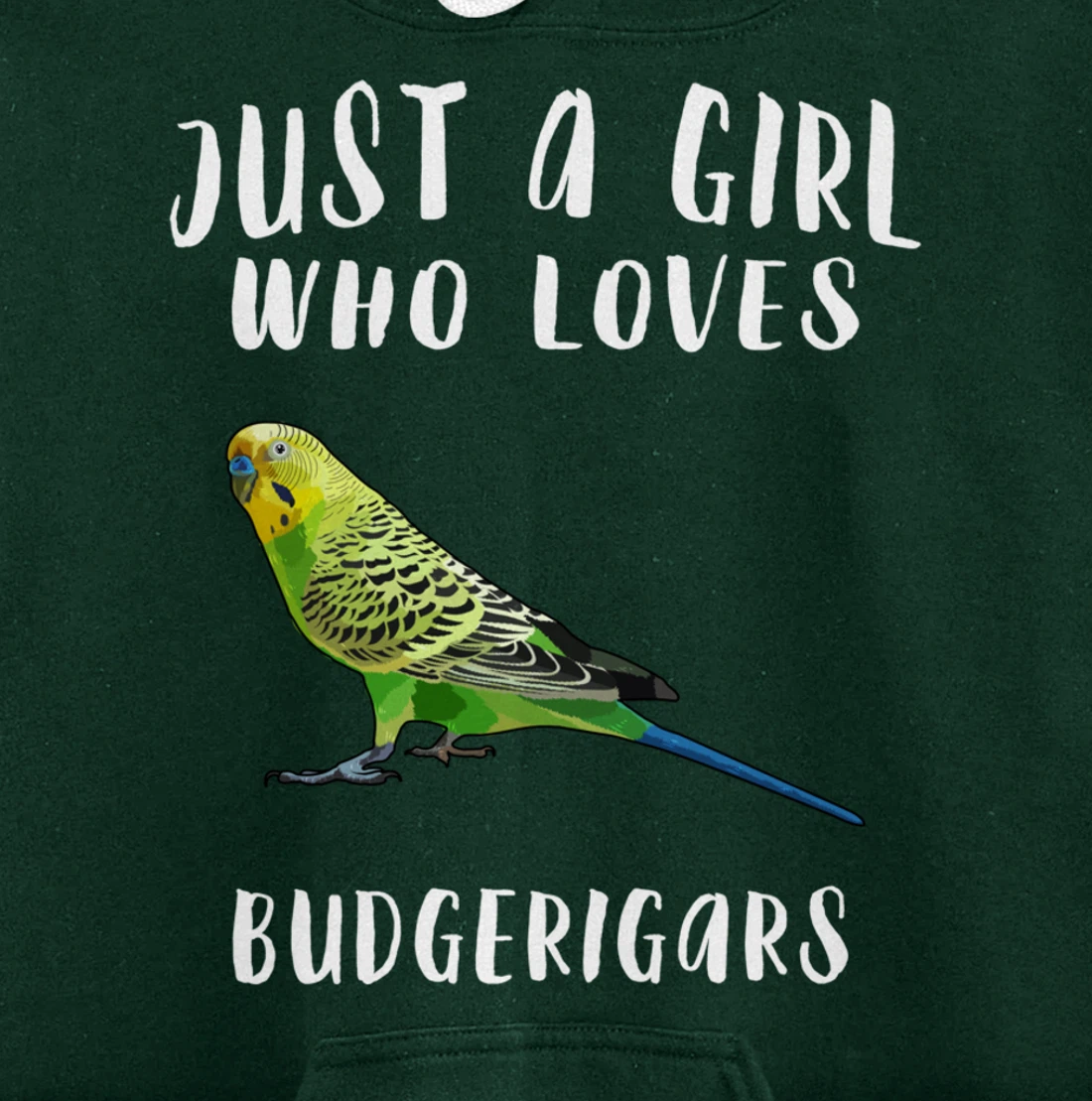 Just A Girl Who Loves Budgerigar Bird Lover Gift Pullover Hoodie