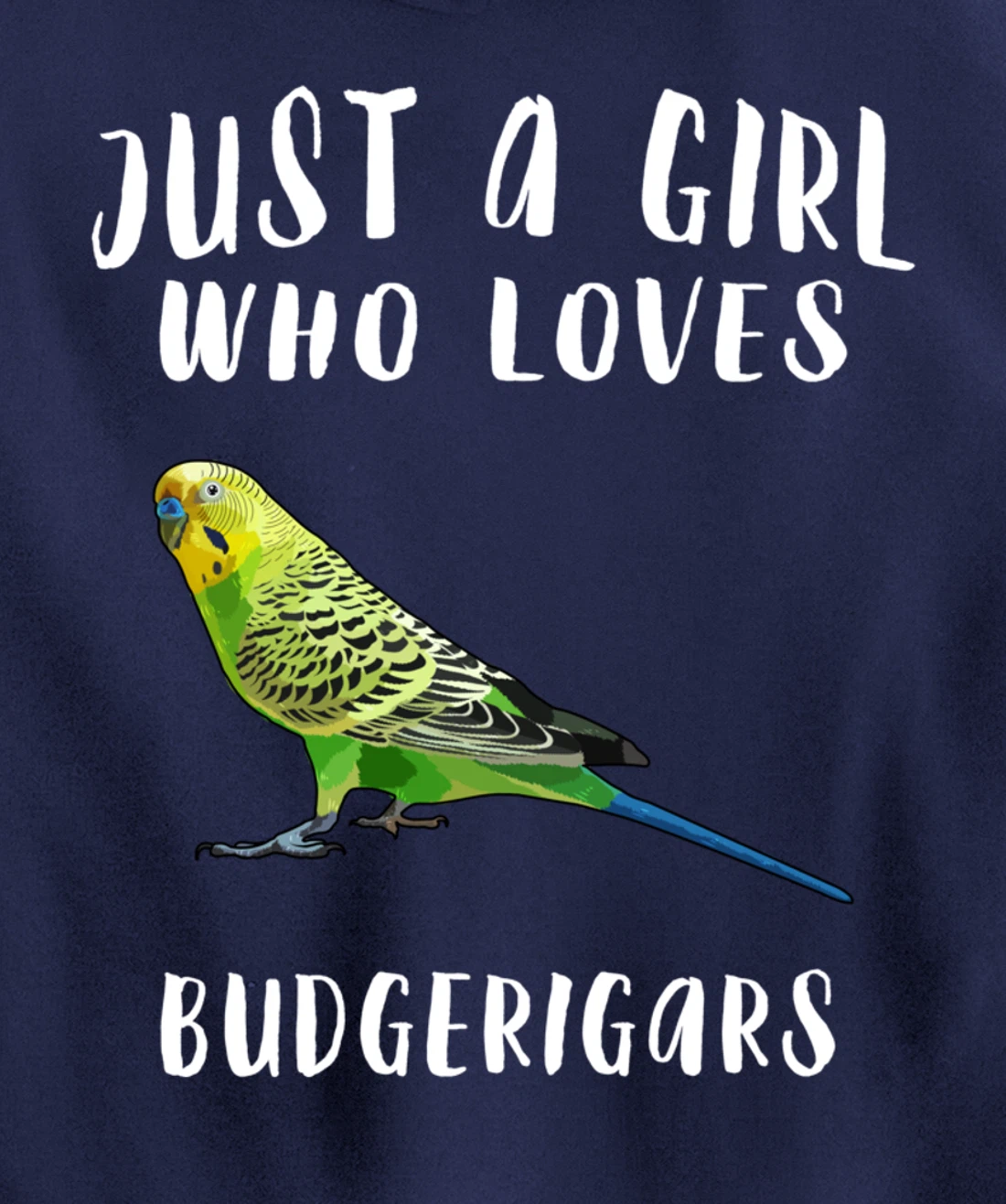 Just A Girl Who Loves Budgerigar Bird Lover Gift Pullover Hoodie