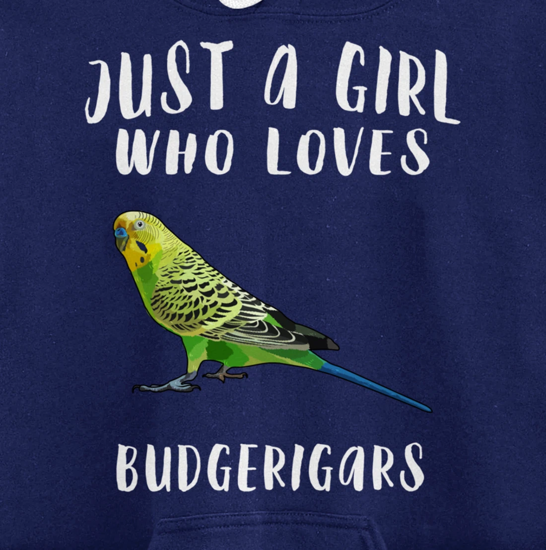 Just A Girl Who Loves Budgerigar Bird Lover Gift Pullover Hoodie