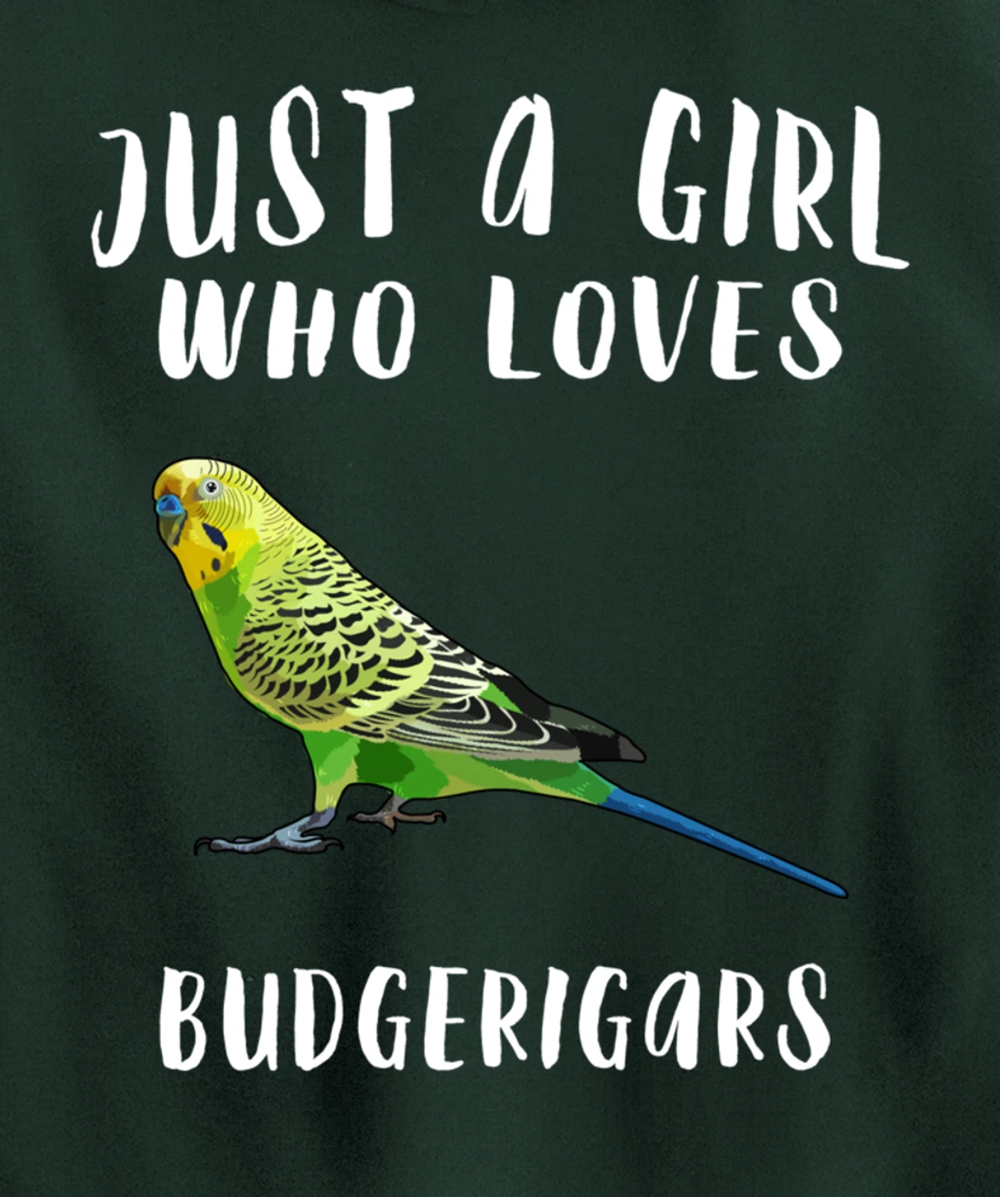 Just A Girl Who Loves Budgerigar Bird Lover Gift Pullover Hoodie